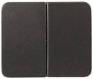 Выключатель СВЕТОЗАР "ГАММА" двухклавишный, без вставки и рамки, цвет темно-серый металлик, 10A/~250B SV-54134-DM